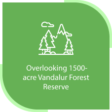 Project Highlights | Vandalur Forest Reserve